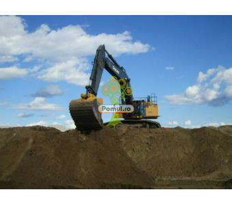 Servicii Profesionale de Excavare – Diverse Dimensiuni, cu Evacuare Pământ - 2