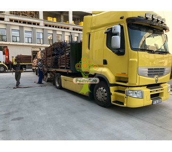 Servicii Profesionale de Relocări Industriale - 3
