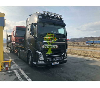 Tractări auto și agabaritic – non stop - 3