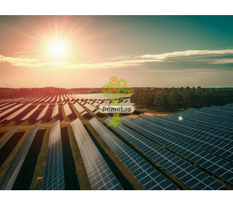 Structuri și Montaj Panouri Fotovoltaice