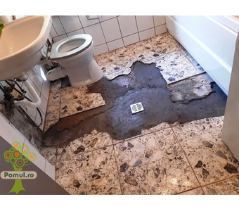 Servicii Instalații: Schimbat Sifon Pardoseală, Țevi Scurgere - 2